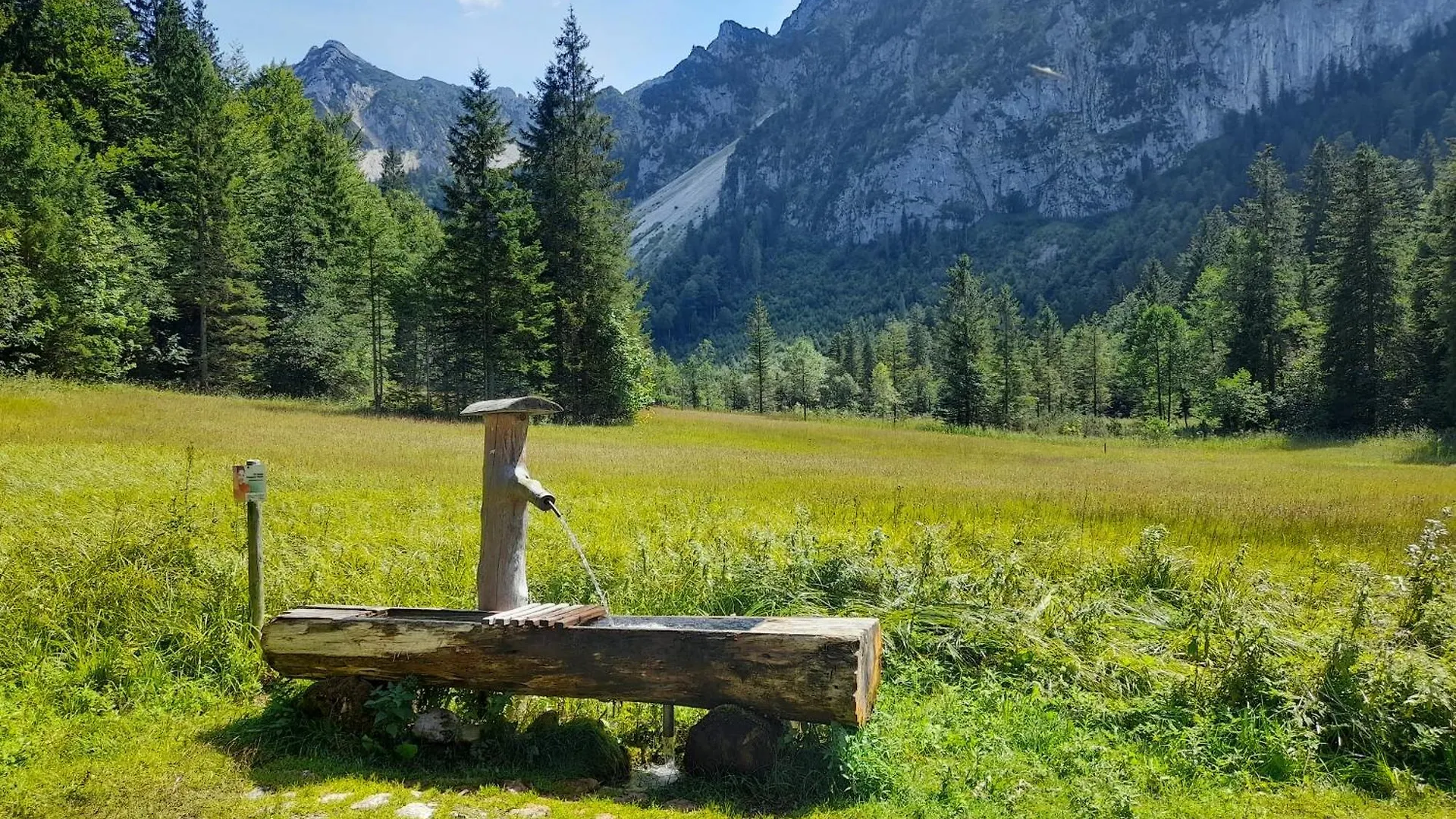 Im Naturgarten Teisendorf